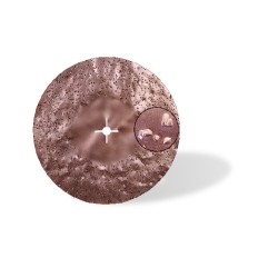 DISQUE ABRASIF SUPERTITINA Ø400